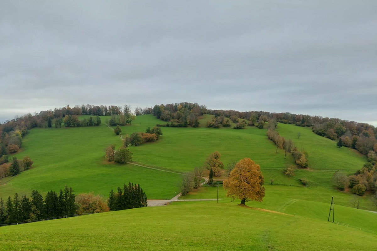 Blassenstein Landschaft