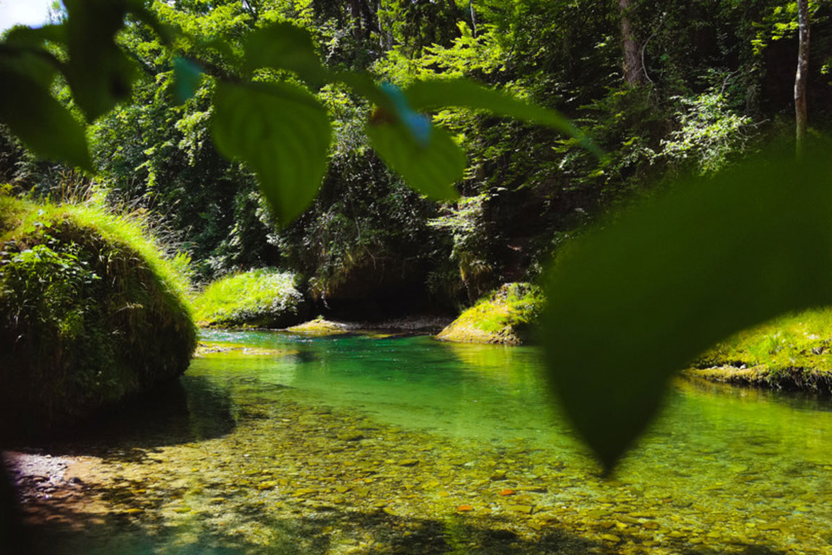 Erlaufschlucht
