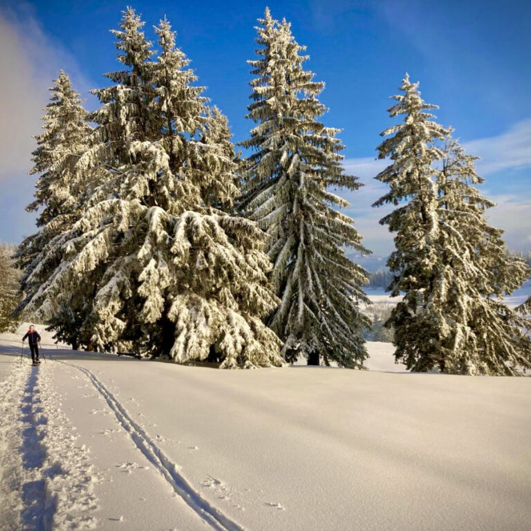 Winter Wonderland Mostviertel