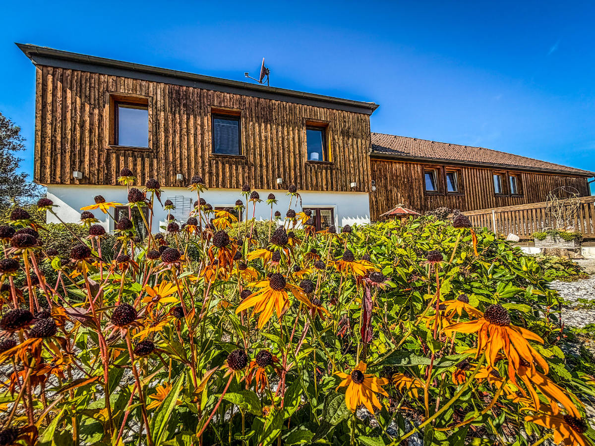 PferdeZeit Ferienvilla mit Sonnenblumen davor